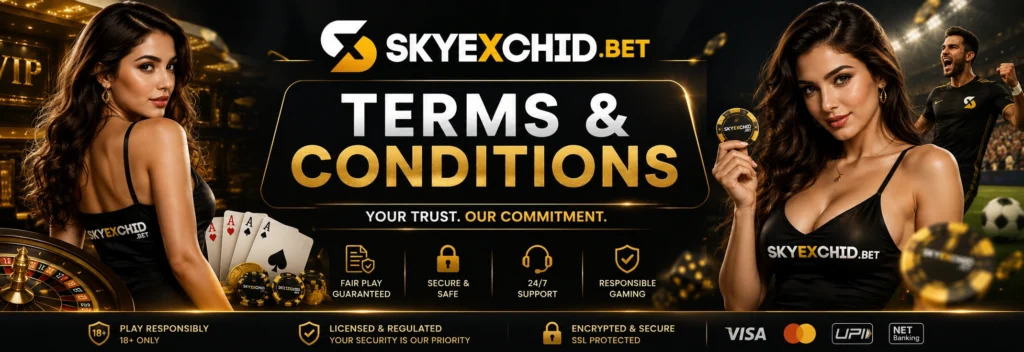 Sky Exchange Terms and Condition Banner 